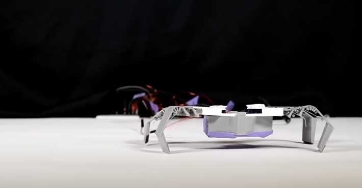 Ρομπότ 3D  που μοιάζουν με έντομα, σε λίγα μόλις λεπτά (vid)